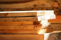 madera de pino oregon madera de pino oregon