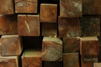 madera de pino oregon madera de pino oregon
